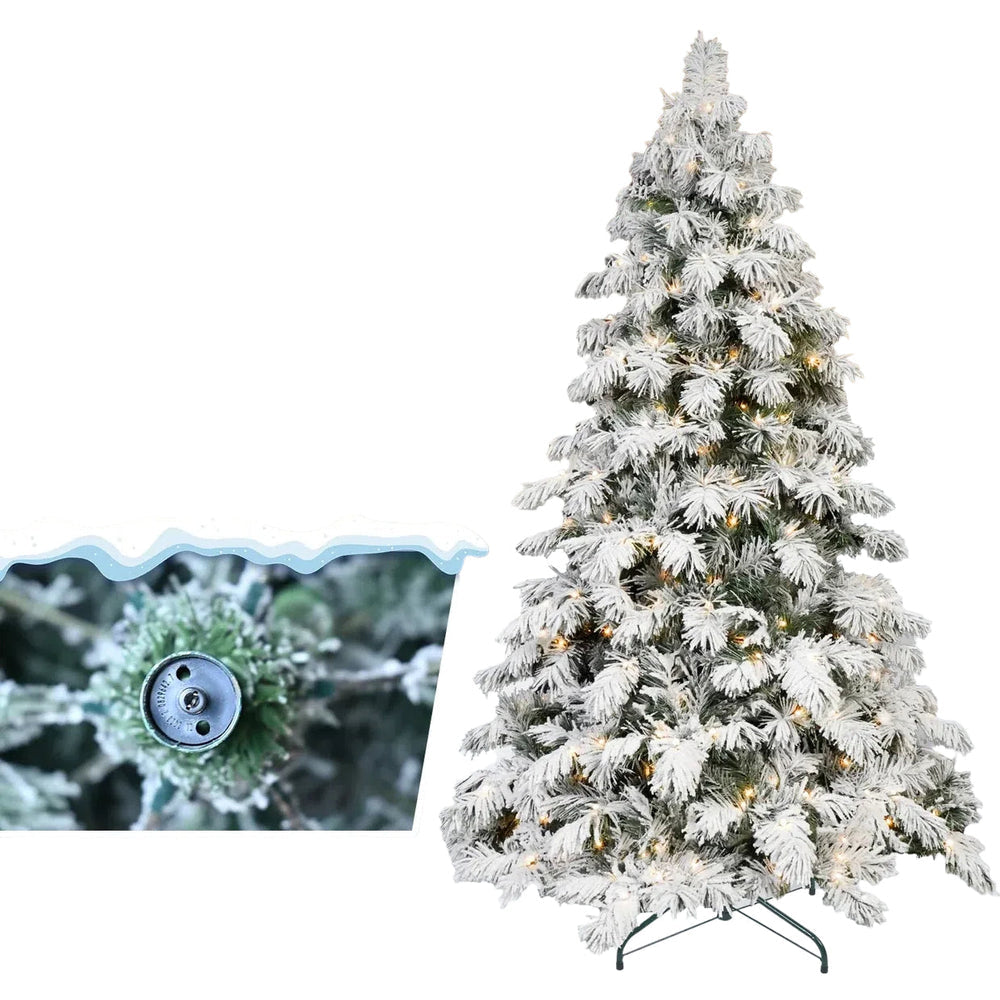 Frosted Christmas tree with lights next to a magnified view of a virus particle.