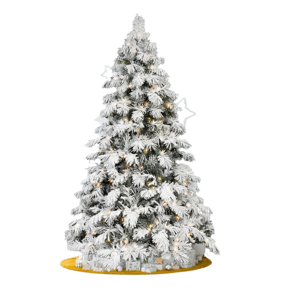 Frosted Christmas tree with lights on a white background