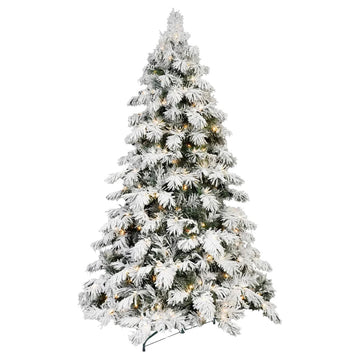 Frosted Christmas tree with lights on a white background